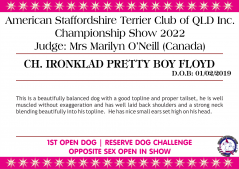 Class 11 - Ch. Ironklad Pretty Boy Floyd.png